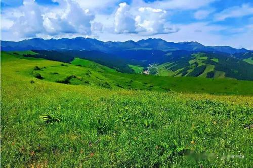 费用aa7月1日周四乌鲁木齐南山牧场赏山花烂漫避暑纳凉一日游