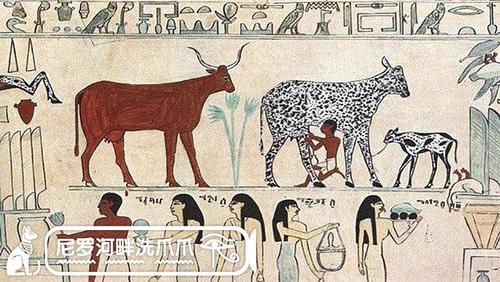 pepi太后番外篇:古埃及饮食不完全手册,古埃及人.