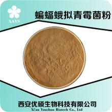 蝙蝠蛾拟青霉