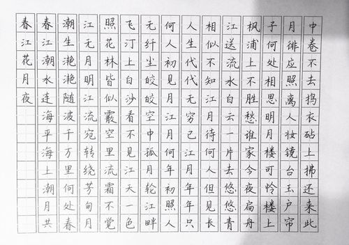 张若虚《春江花月夜》钢笔字笔友习作欣赏