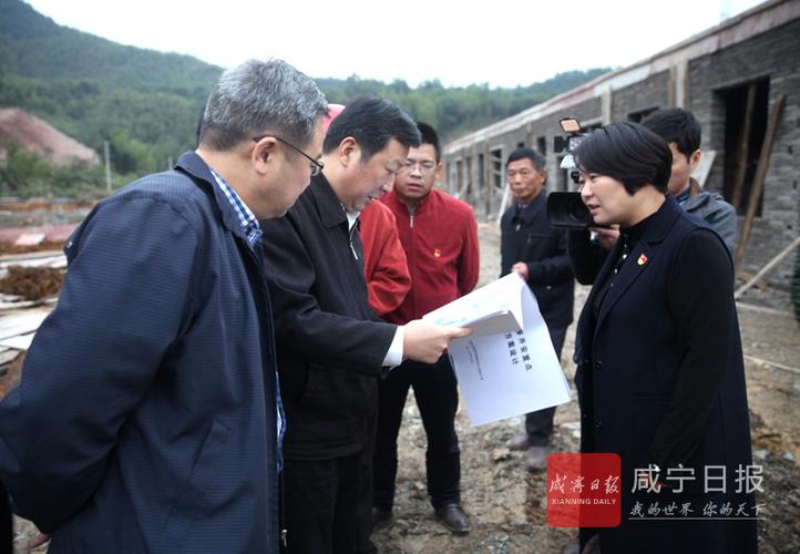王远鹤赴崇阳县天城镇开展"党代表联系日"活动