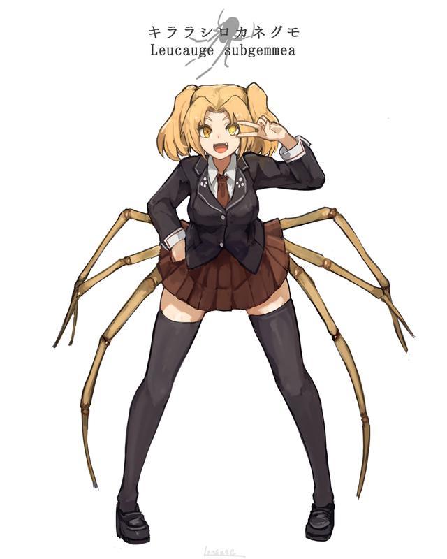 蜘蛛也能变成美少女这位画师口味太硬核但仔细一看还挺可爱