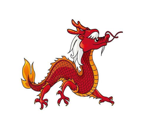 属龙的婚姻配对最佳属龙和什么属相最配
