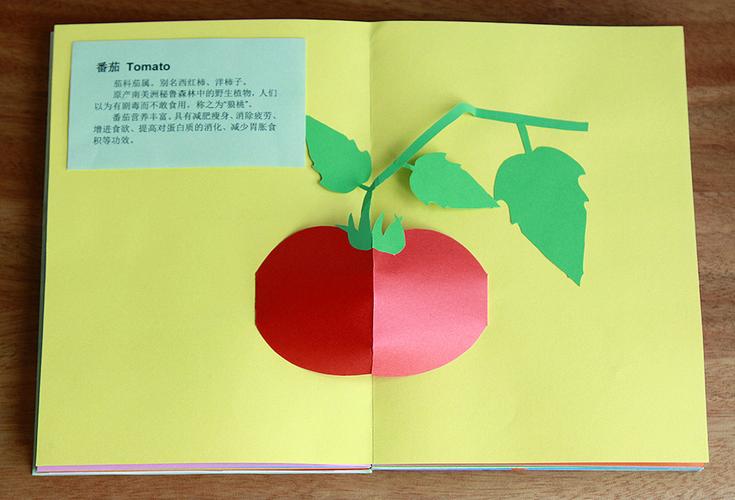 这是一本关于蔬菜的手工立体书,内页纸艺结构设计者是shawn sheehy