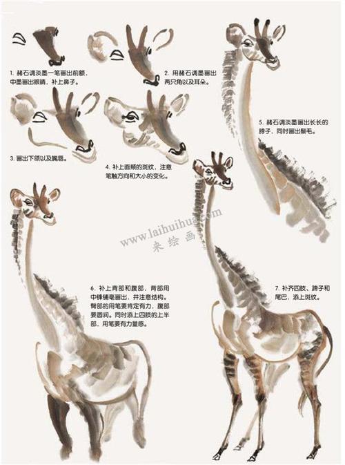 长颈鹿的国画画法步骤