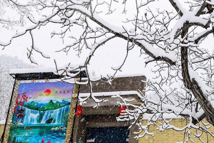 中太行,又一波雪景来袭,黎城简直美爆了!