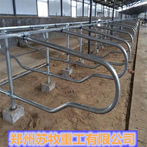 牛颈枷 牛卧床 牛颈夹 厂家