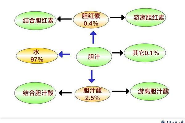 上饶樱桃谷鸭养殖胆汁酸采购