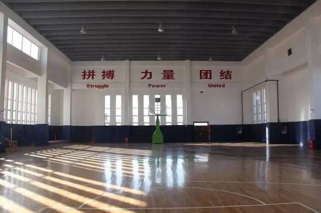 小学介绍篇—石家庄市金柳林外国语学校