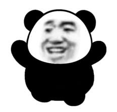 抖音热门的超大霸屏熊猫头动态表情包第三弹
