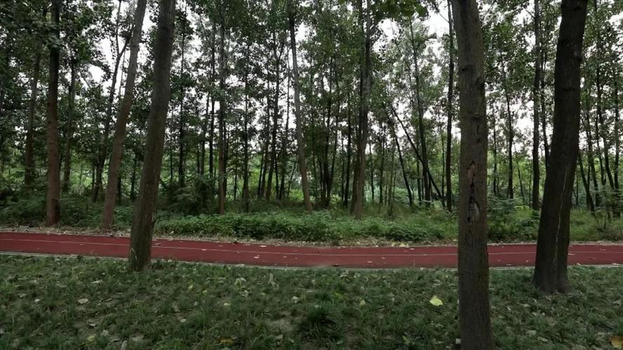 地址 :环余英溪,穿过河滨公园,英溪公园,速生杨林    全长 :约15.