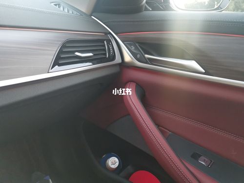 2021款新宝马5系外红内红(馥郁红 火山红)_宝马怎么样
