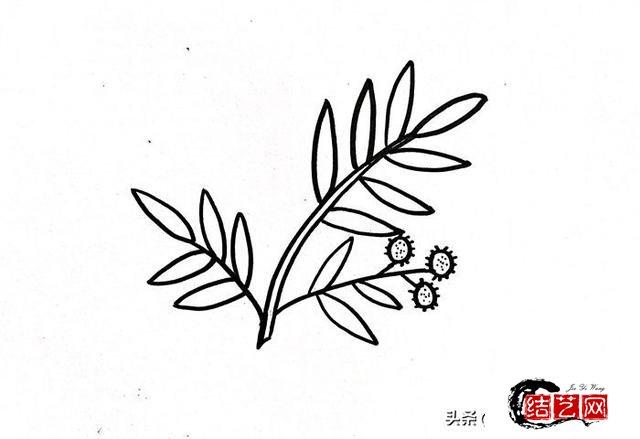 含羞草简笔画教您画有颜色的儿童含羞草图片