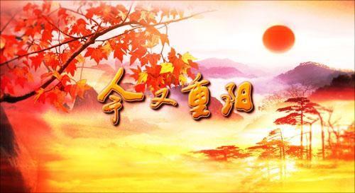 直面老龄:央视科教频道推出大型直播节目《今又重阳》