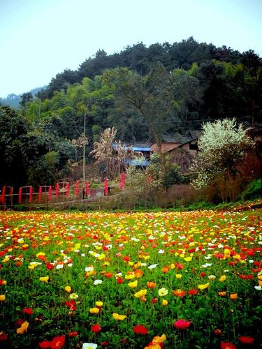 七彩铜锣民俗艺术花都旅游景点攻略图