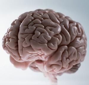 第四军医大学唐都医院神经外科五病区贾栋主任回答