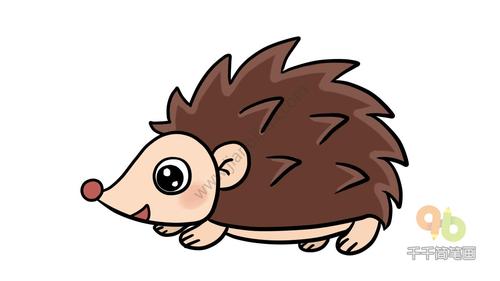 刺猬简笔画图片教程