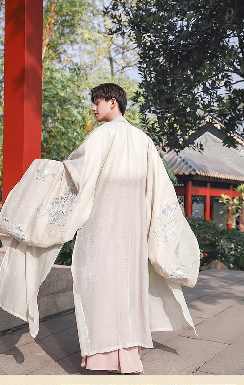 汉服男仙气绝尘古装大袖衫长袍大氅汉服中国风书生帅公子儒雅套装浅灰