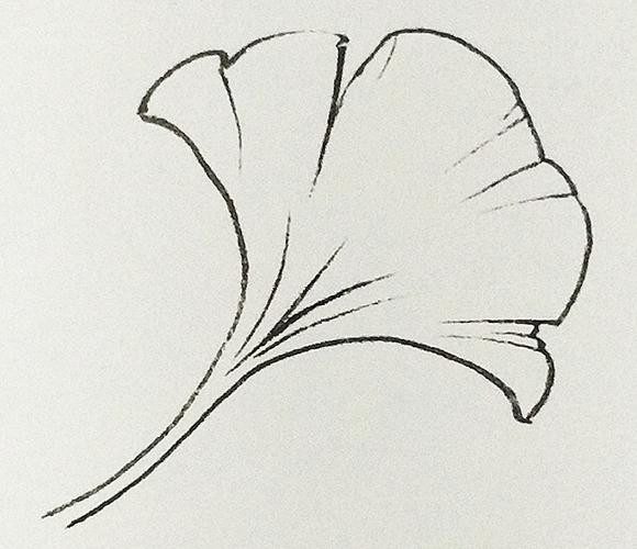 学国画,画花卉必须懂的基本花卉知识 - 简书