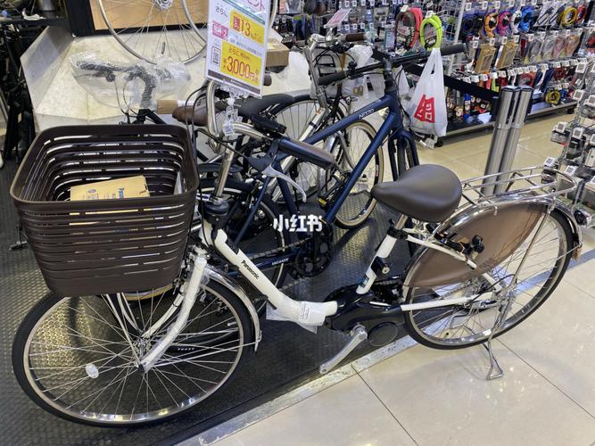 松下助力自行车_自行车_松下怎么样_风景_电动车_日本