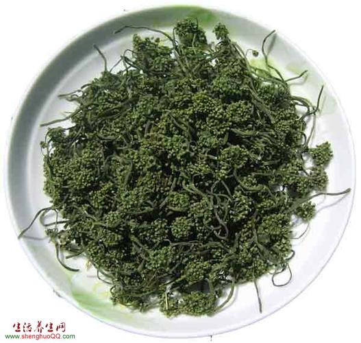 人参花的功效与作用-人参花泡水喝
