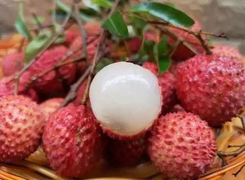 高州荔枝是广东茂名高州的特产.早在唐朝,高州荔枝