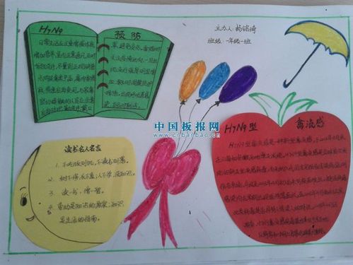关于h7n9的手抄报图片