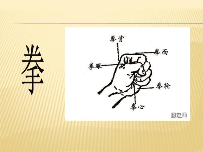 武术基本手型与基本步型