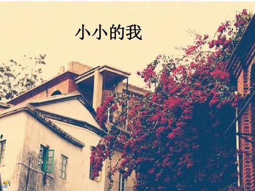 小小的我ppt