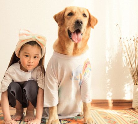 图神犬小七中的乐乐神犬一路施展神奇辅助他