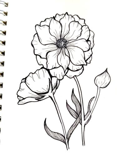 黑白画花(13/30)_黑白画_绘画_画画_文化_绘画