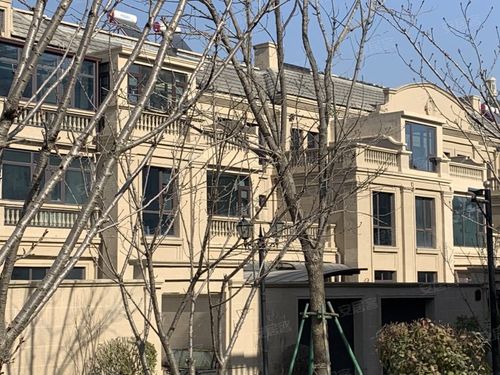 白鹭金岸(别墅)