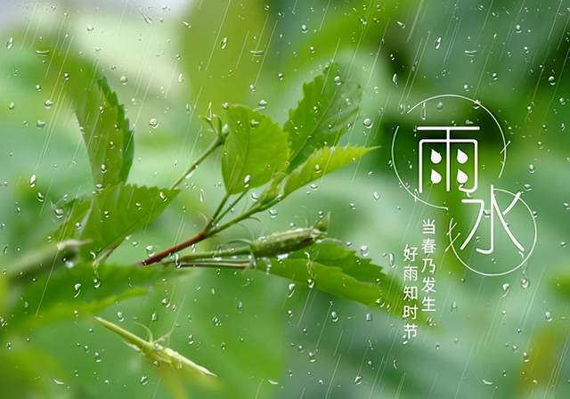 二十四节气:今日雨水