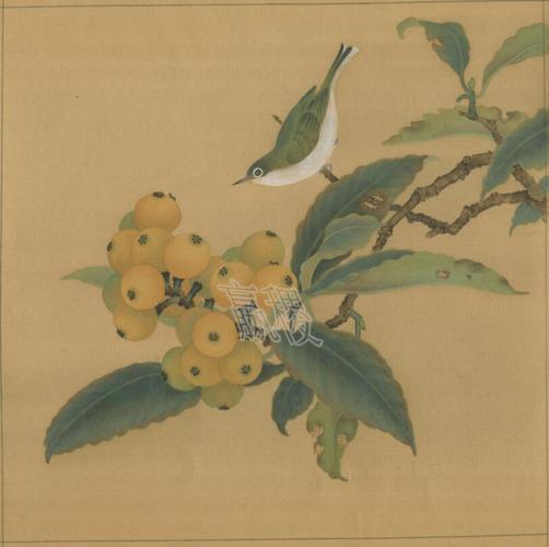 枇杷绣眼图原色扫描版