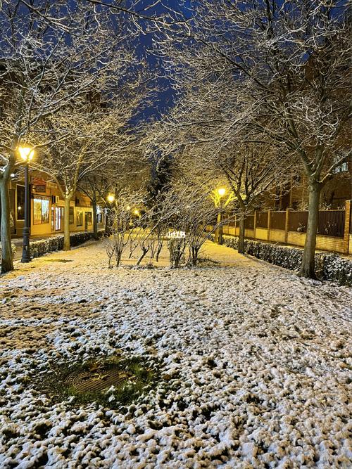 用iphone12promax拍的雪景也太美了吧