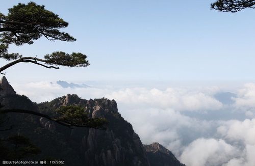 关键词:三清山云雾 腾云驾雾 云雾 松树 奇山 悬崖松 风光摄影 云彩