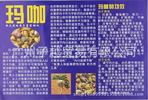 秘鲁玛咖说明书/丽江玛卡简介小册子/玛卡