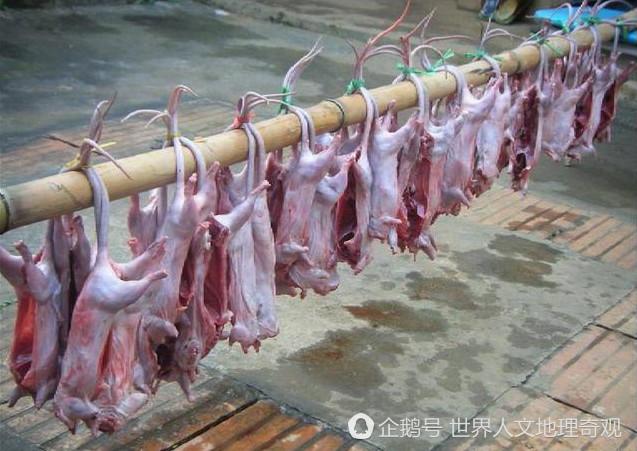 刚刚杀好的老鼠,要先晾干了再拿去烤烤好的老鼠干,这色泽做的恰到好处