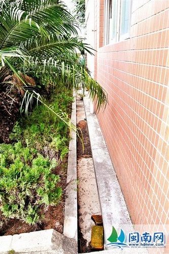 泉州一19岁高三女生蹊跷受伤殒命 疑为意外坠楼