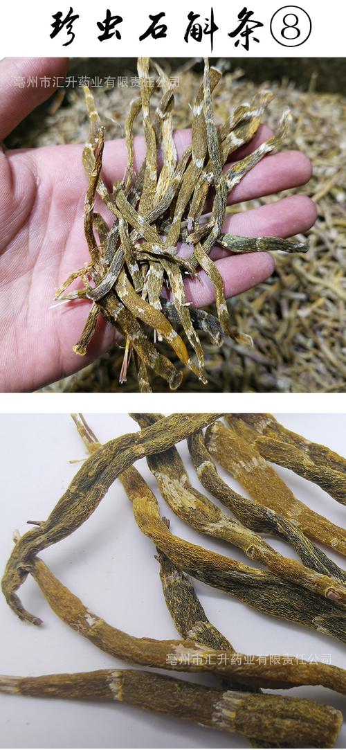 正宗霍山铁皮石斛枫斗芽条米斛珍虫石斛龙头凤尾产地货源人工挑选