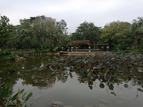 清溪镇有一个公园,叫做清溪文化公园.