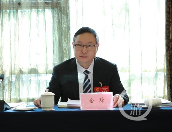 聚焦2020重庆两会声音人大代表金烽聚力发展三大新兴产业积极融入成渝