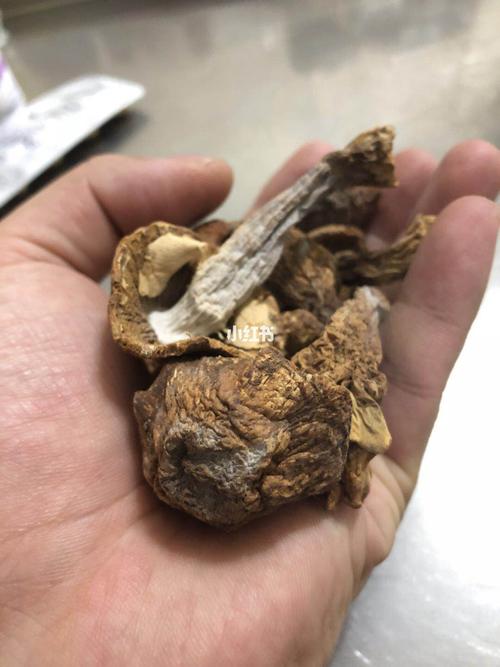松茸这样是坏了吗?_松茸_美食_美食其他
