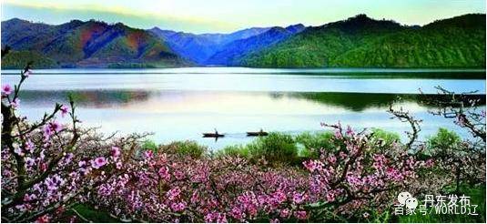 丹东鸭绿江河口桃花预计4月底开放 五一假期赏花正当时