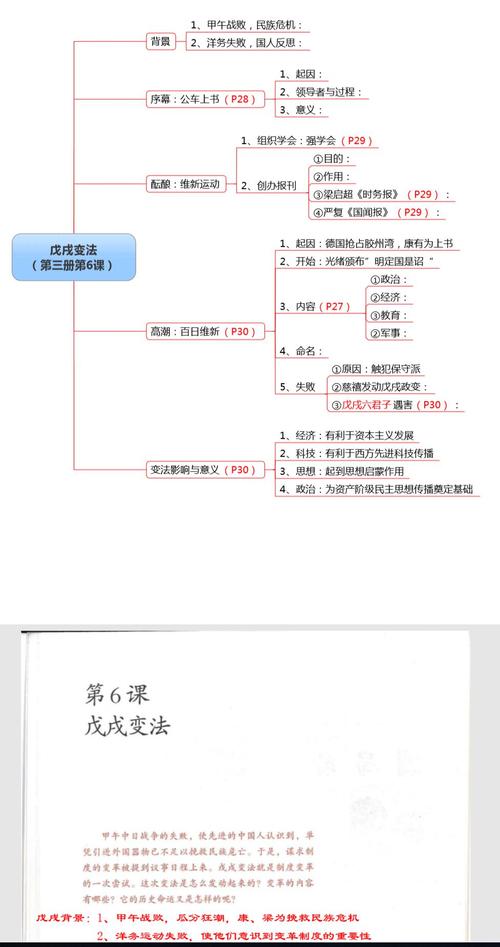 22张中考历史结构图,全套重点整理专治各种找不到,来不及,答不全