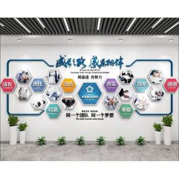 教育机构文化墙 3d立体亚克力公司企业文化墙贴员工团队风采照片墙