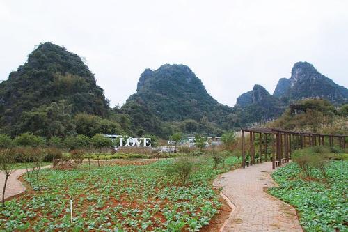 九龙峰林小镇,一处珍藏在广东英西峰林的世外桃源