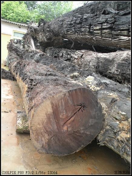 乌木阴沉木 麻柳树,红椿树商品大图