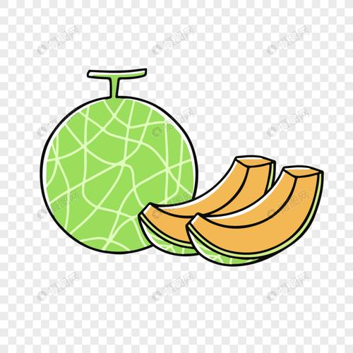 免抠元素 手绘/卡通元素 哈密瓜.