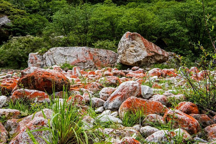四川有一个因歌曲得名的景区,游客可以在山上发现红石头